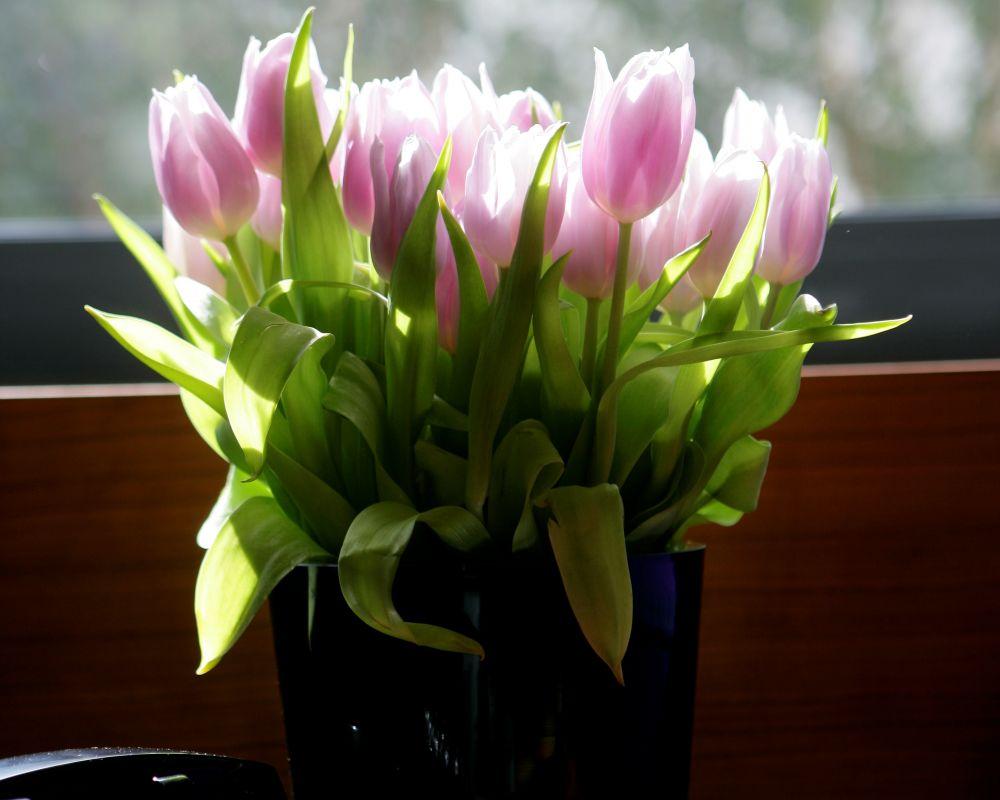 The Fitzwilliam Hotel Dublin Exterior photo Tulips